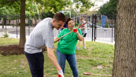 Working in the Park Working in the Park