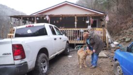 Animals need some love too Animals need some love too